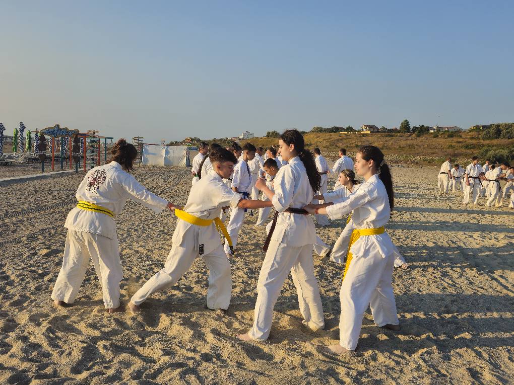 Image 10